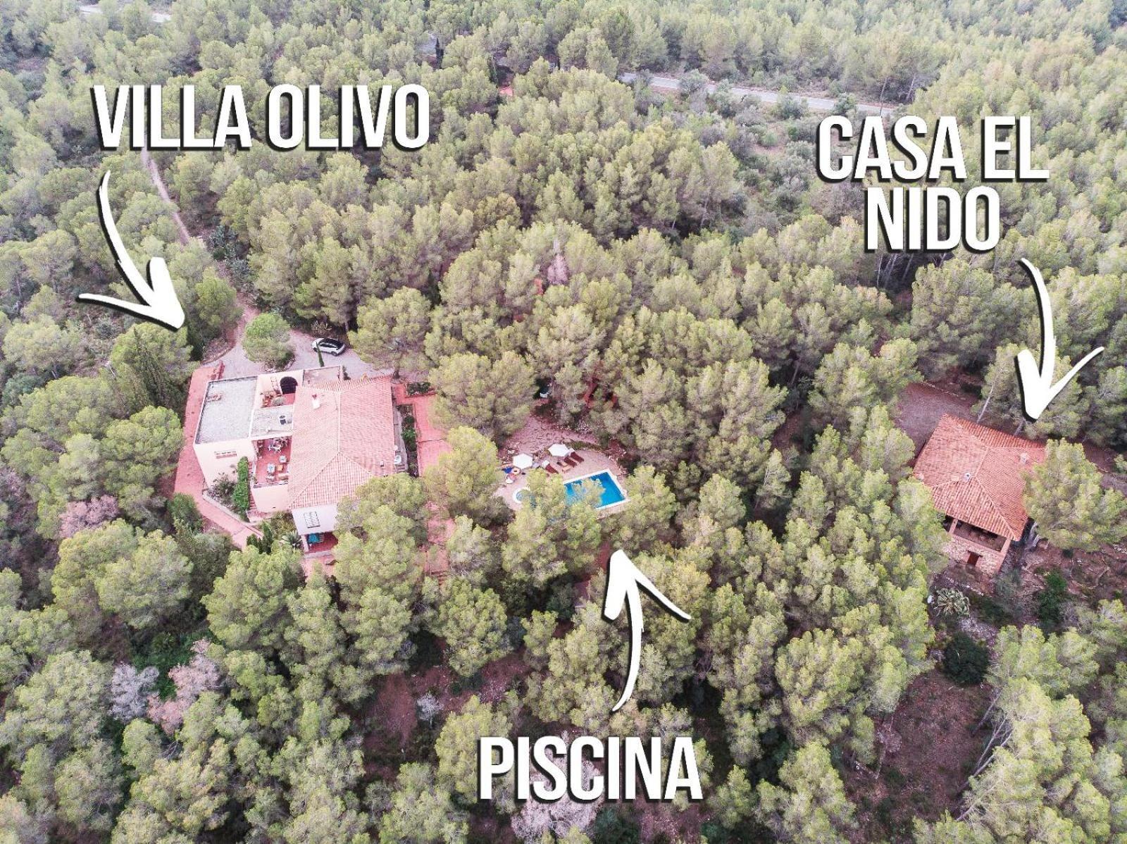 Aldeamia, Forest, Mountain View, Beach At 8 Min Vilanova d'Escornalbou Exterior foto